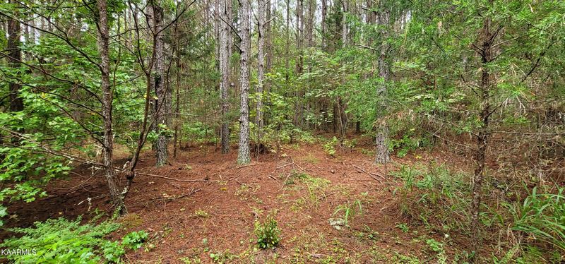 30 Acres County Road 102, Athens, TN 37303