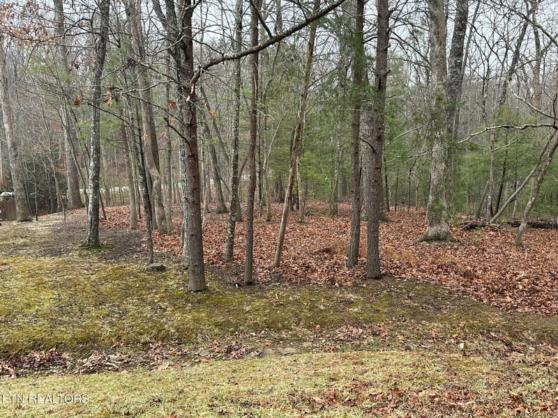 30 Clason Point, Fairfield Glade, TN 38558