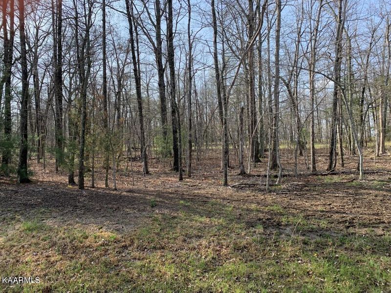 30 Kingsley Ct, Crossville, TN 38558