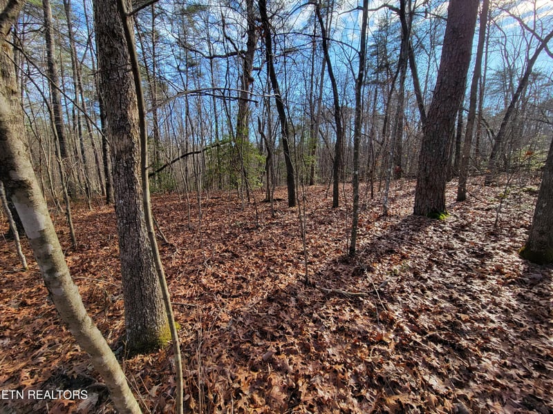 30 Laurel Loop, Monterey, TN 38574