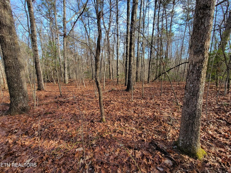 30 Laurel Loop, Monterey, TN 38574