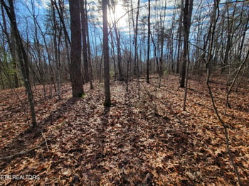 30 Laurel Loop, Monterey, TN 38574