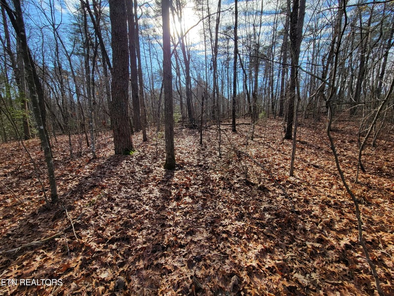30 Laurel Loop, Monterey, TN 38574