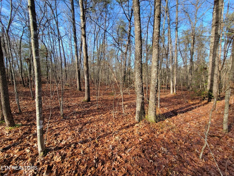 30 Laurel Loop, Monterey, TN 38574