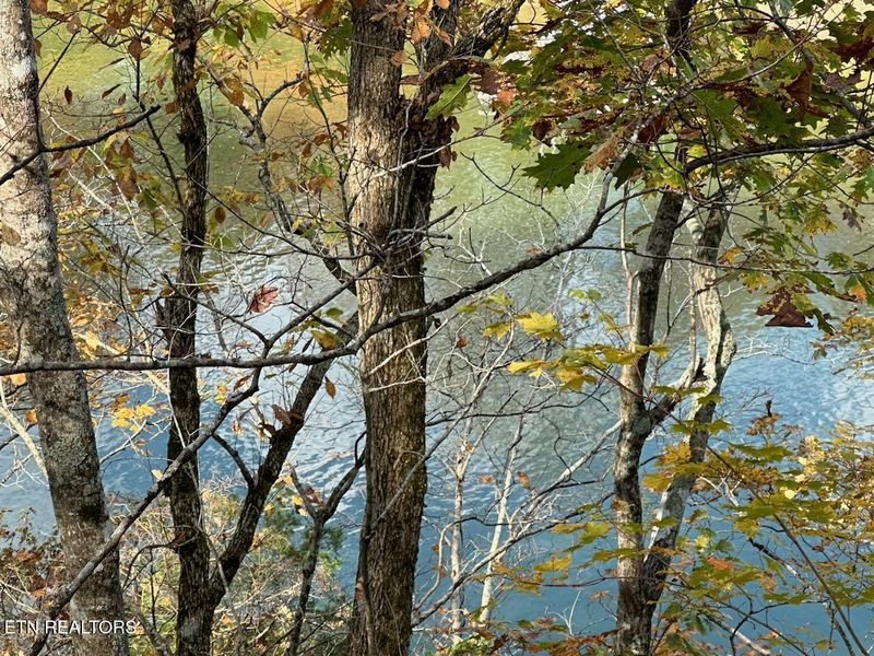 300 Bluff Tc, Jacksboro, TN 37757