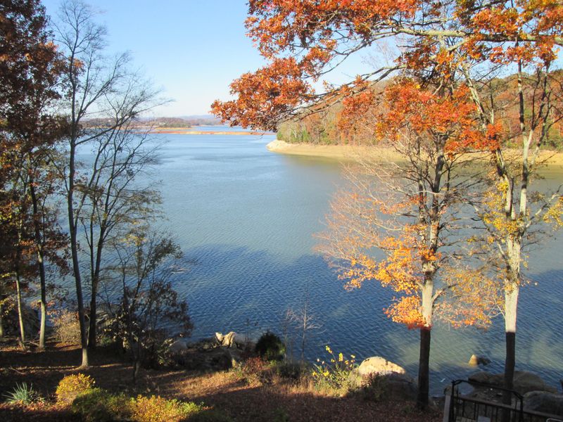 300 Laurel Cv, Bean Station, TN 37708