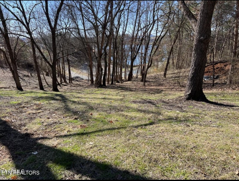 300 Southshore Dr, Greenback, TN 37742