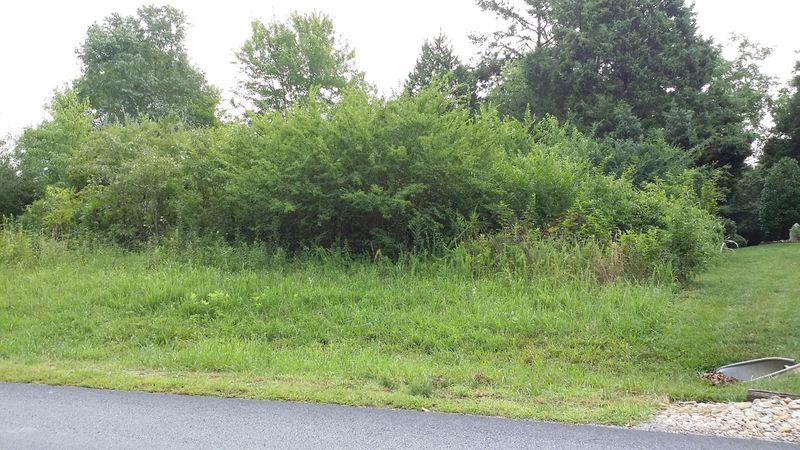 300 Wewoka Ln, Loudon, TN 37774