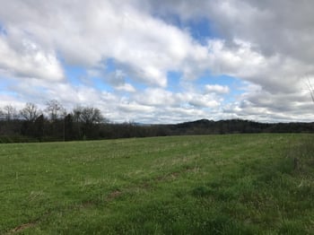 3000 Clear Springs Rd, Mascot, TN 37806