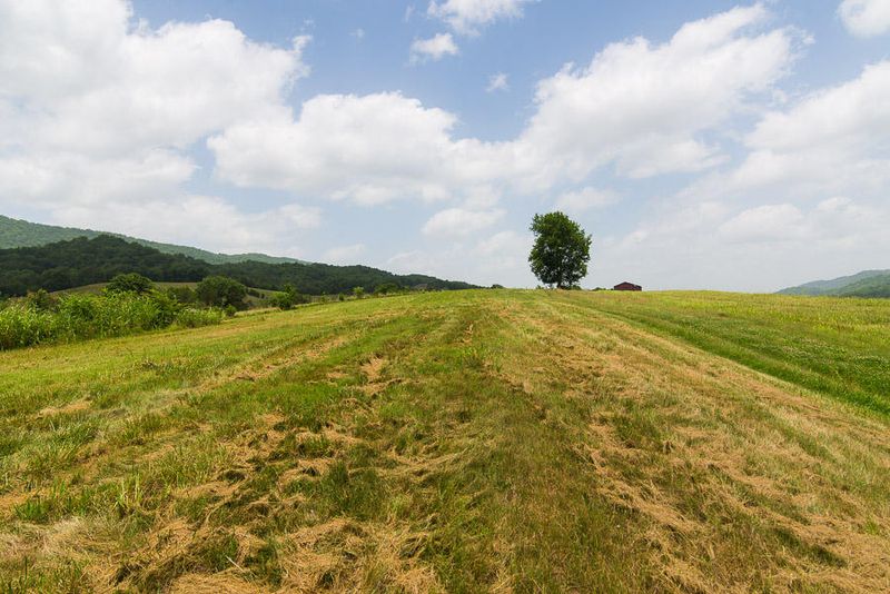 3003 Rutledge Pike, Blaine, TN 37709