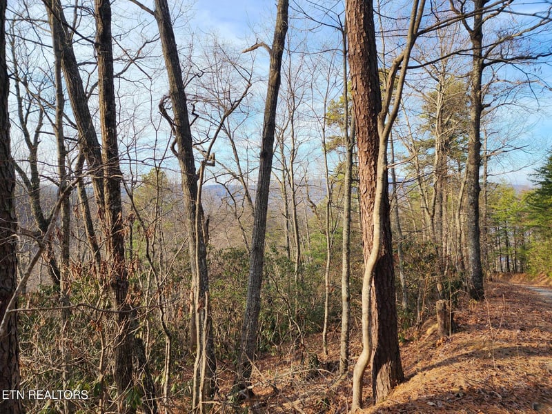 3008 Overholt Trl Lot 8r, Sevierville, TN 37862