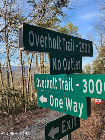 3008 Overholt Trl Lot 8r, Sevierville, TN 37862