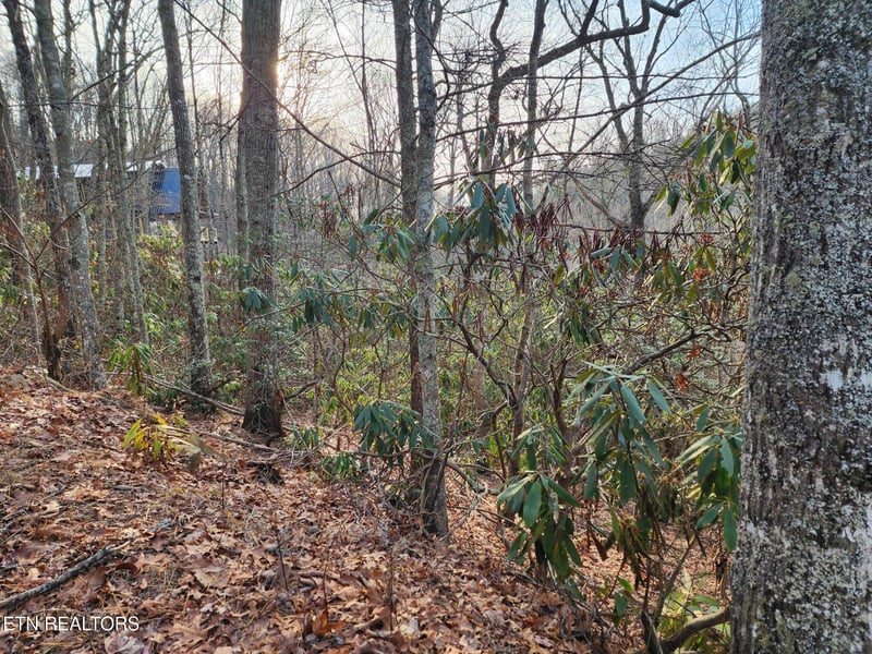 3008 Overholt Trl Lot 8r, Sevierville, TN 37862