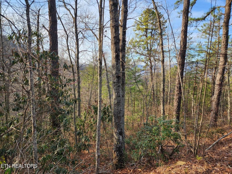 3008 Overholt Trl Lot 8r, Sevierville, TN 37862