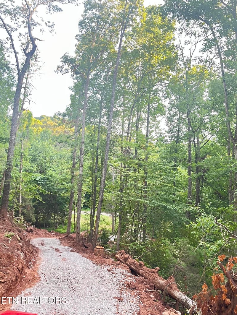 3011 Ballplay Rd, Madisonville, TN 37354