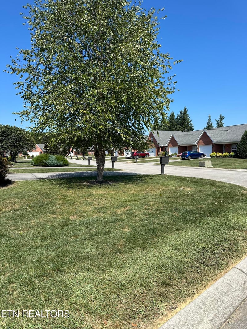 3017 Yearling Ln, Maryville, TN 37803