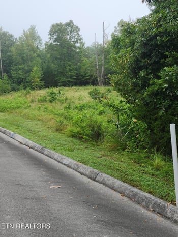 302 Caney View Dr #w/dock, Harriman, TN 37748