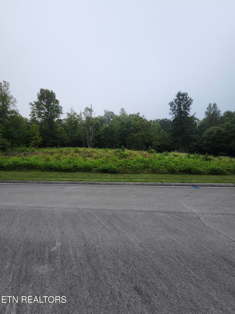 302 Caney View Dr #w/dock, Harriman, TN 37748