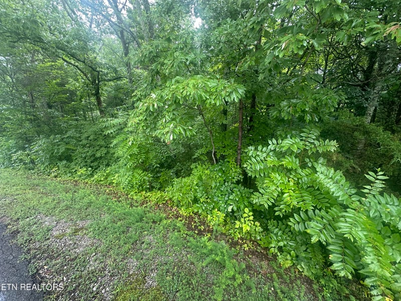 302 Elohi Tc, Loudon, TN 37774