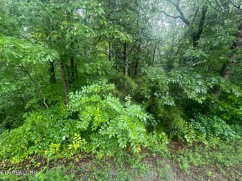 302 Elohi Tc, Loudon, TN 37774