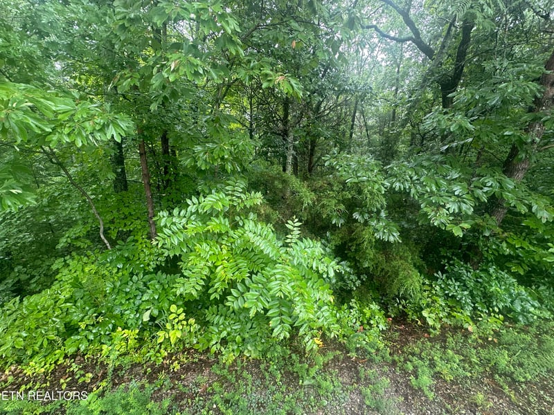 302 Elohi Tc, Loudon, TN 37774