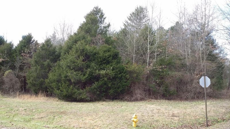 302 Yona Ln, Loudon, TN 37774
