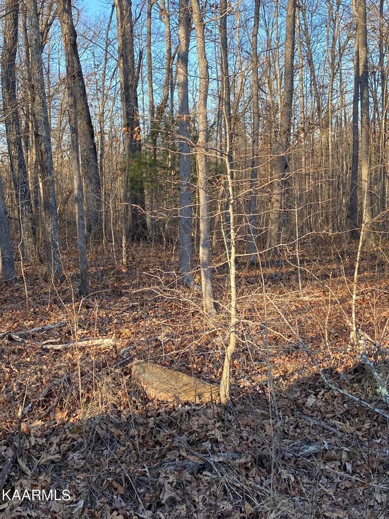 3020 Oswego Rd, Crossville, TN 38572