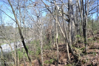 3024 Us 411, Maryville, TN 37801