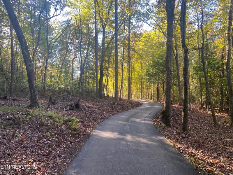 303 Cumberland Cove Rd, Monterey, TN 38574