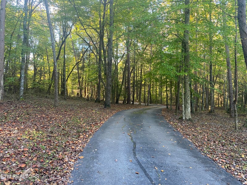 303 Cumberland Cove Rd, Monterey, TN 38574