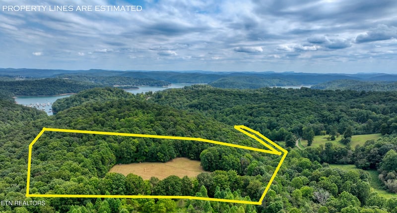 303 Tar Town Hollow Ln, Lafollette, TN 37766