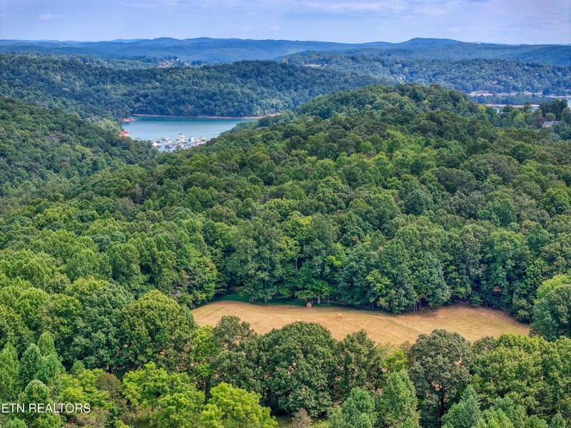 303 Tar Town Hollow Ln, Lafollette, TN 37766