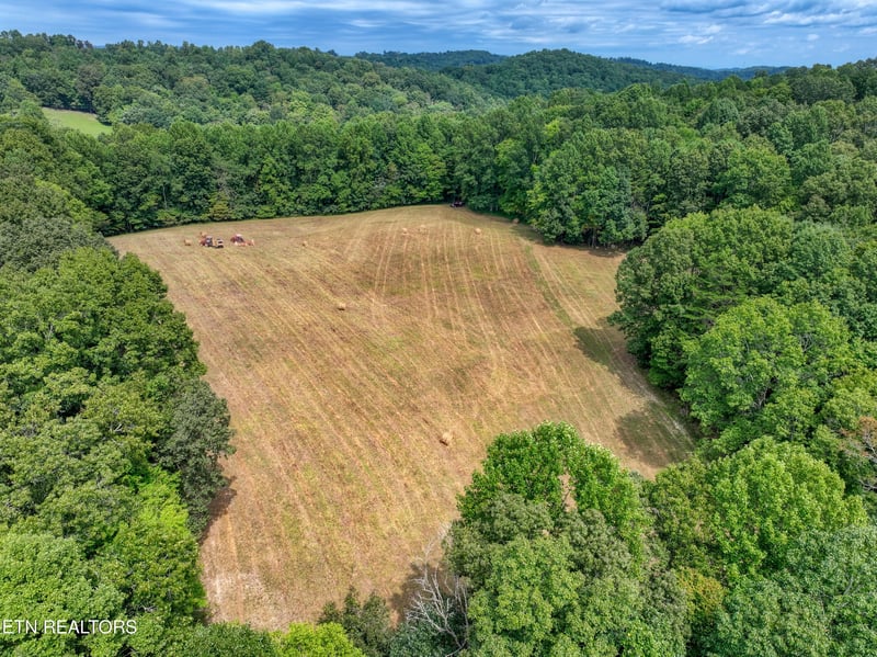 303 Tar Town Hollow Ln, Lafollette, TN 37766