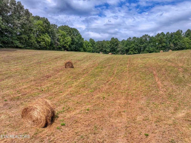 303 Tar Town Hollow Ln, Lafollette, TN 37766
