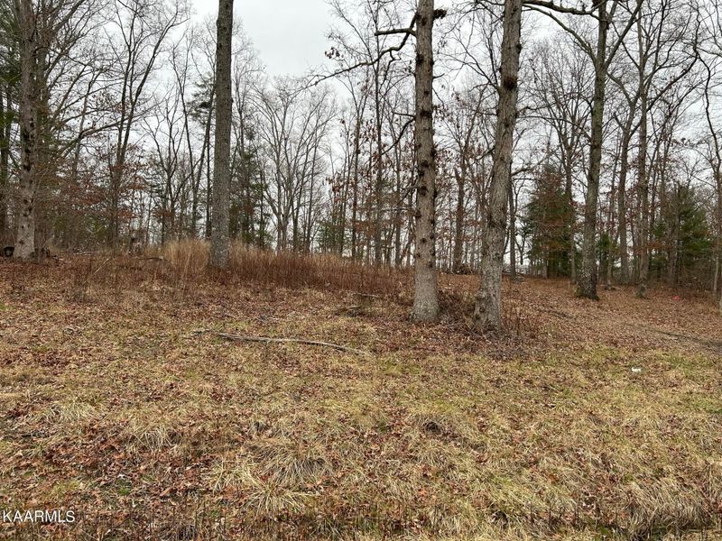 3030 Ocalala Tr, Crossville, TN 38572