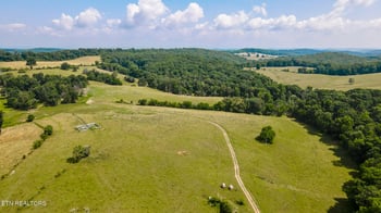 30300 Pond Creek Rd, Philadelphia, TN 37846