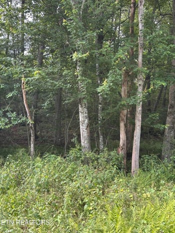3031 Shawnee Rd, Crossville, TN 38572