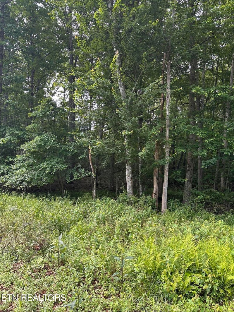 3031 Shawnee Rd, Crossville, TN 38572