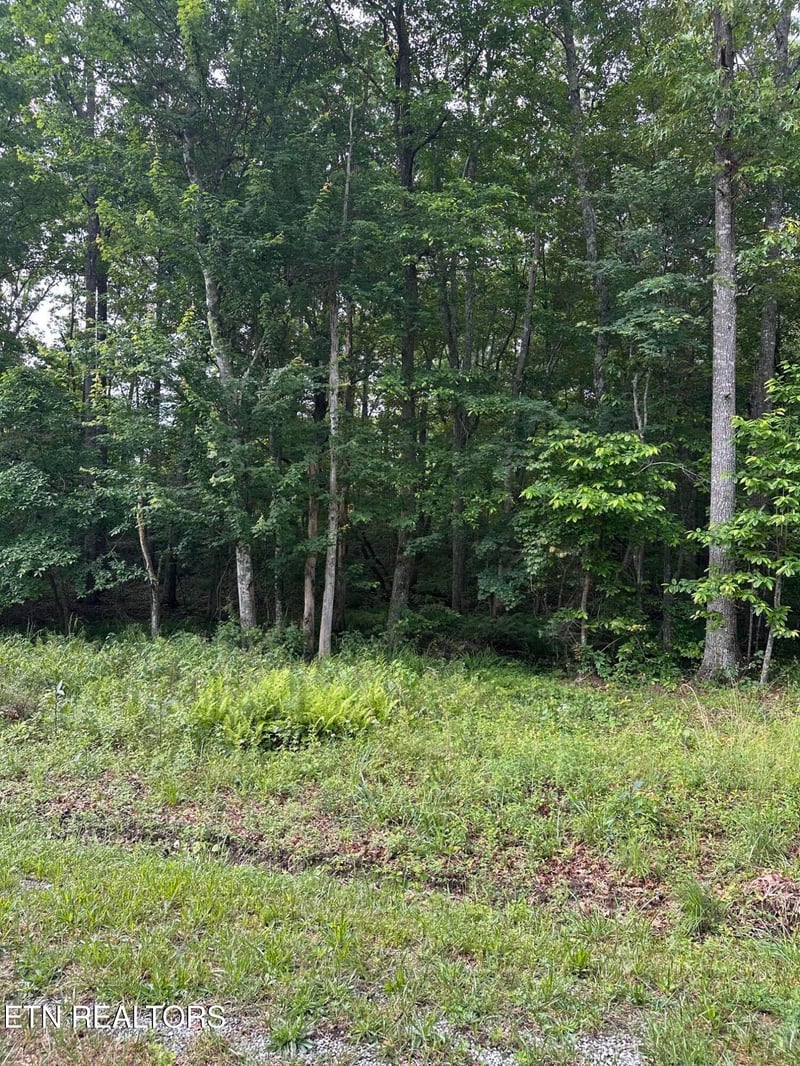3031 Shawnee Rd, Crossville, TN 38572
