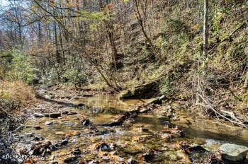 3033 N Clear Fork Rd, Sevierville, TN 37862