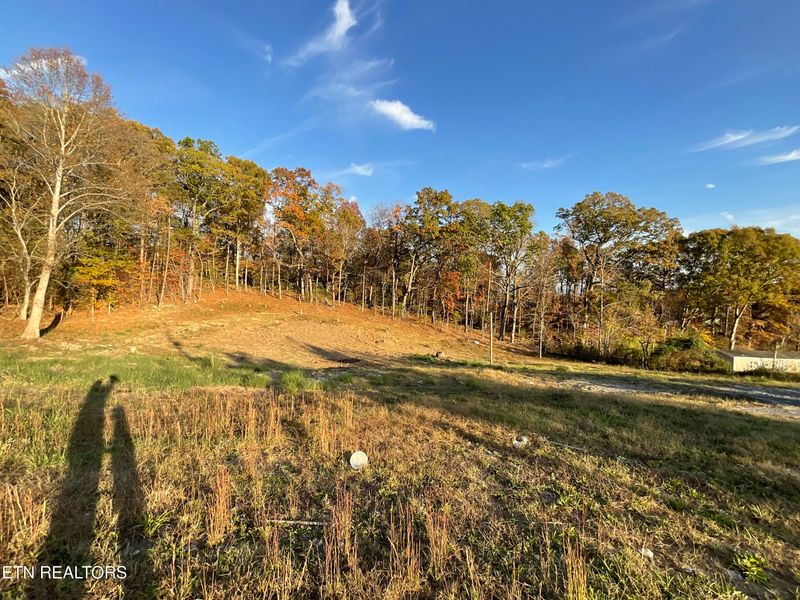 3033 Toms Ln, Kodak, TN 37764