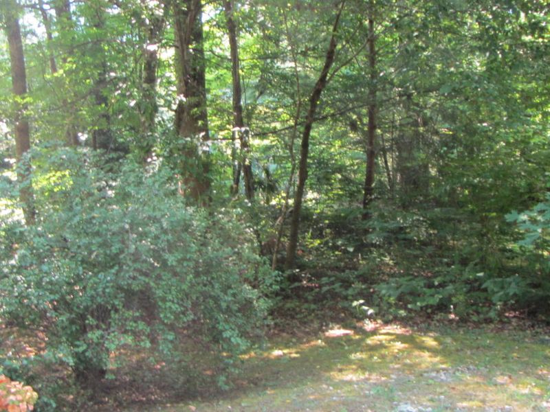 304 Settlers View Rd, Townsend, TN 37882