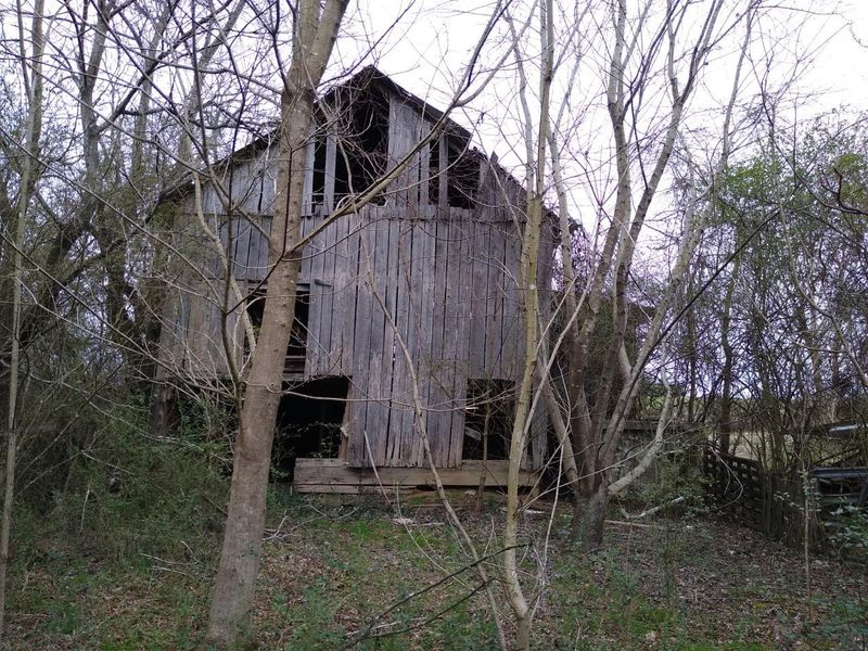 305 Island Ford Rd, Jacksboro, TN 37757