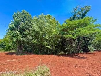 305 Oakwood Estates Dr, Lenoir City, TN 37772