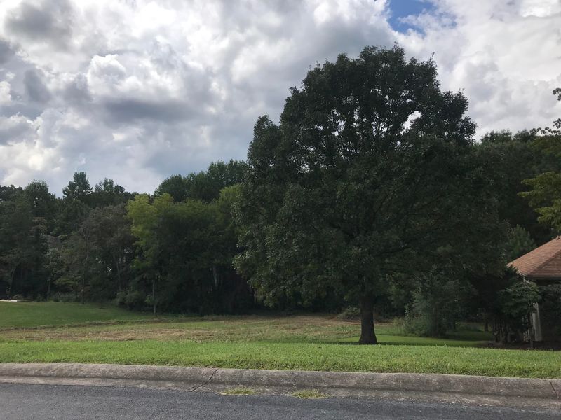 305 Okmulgee Cir, Loudon, TN 37774