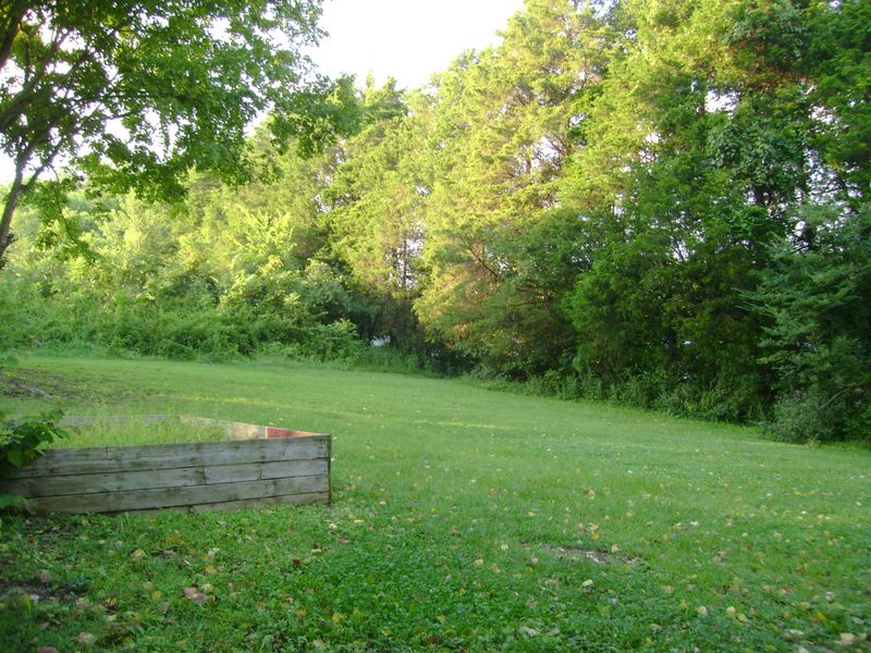 305 Stowers Dr, Corryton, TN 37721