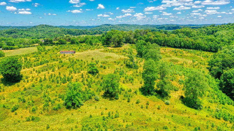 3055 Williams Rd, Knoxville, TN 37932