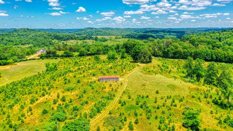 3055 Williams Rd, Knoxville, TN 37932