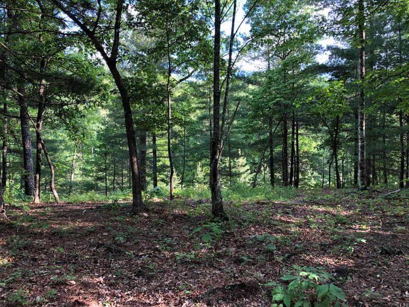306 Hawken Dr, Walland, TN 37886