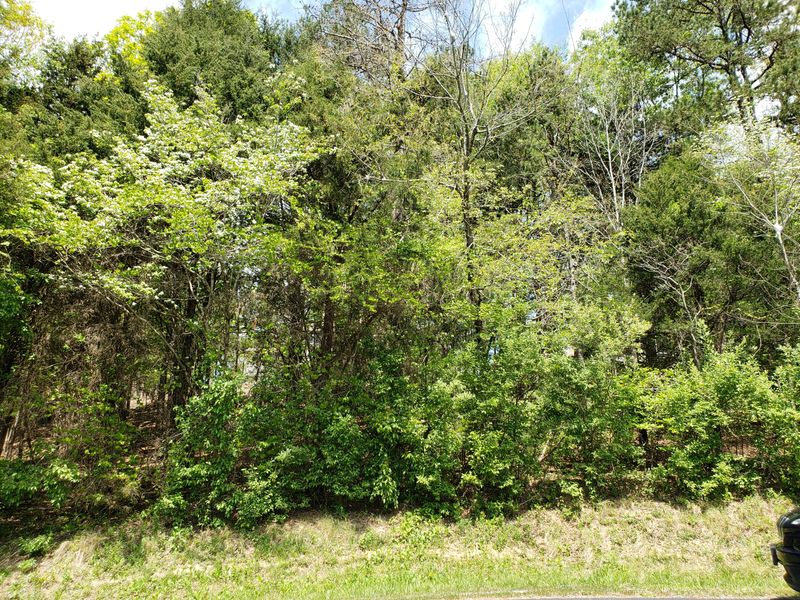306 Kawga Tc, Loudon, TN 37774